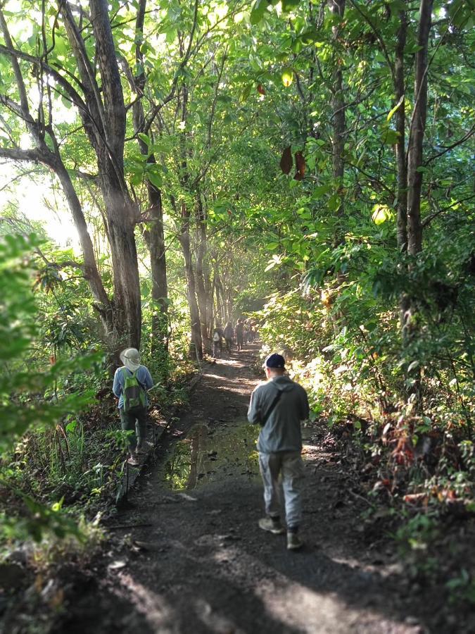 Tangkoko Lodge Bitung ภายนอก รูปภาพ
